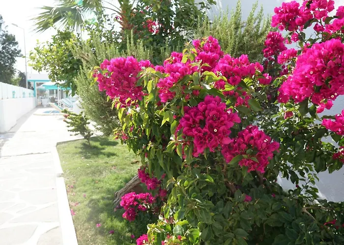 מלון Casa Aria 2*