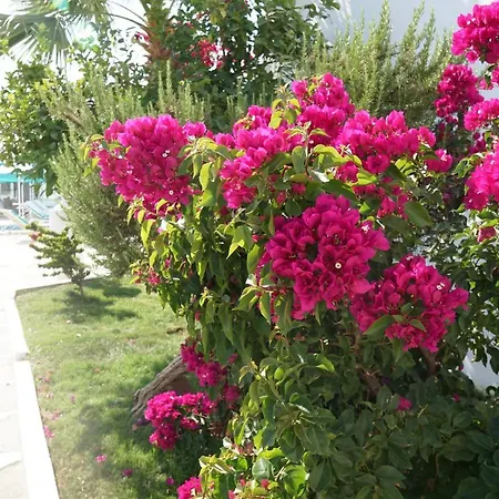 Hotel Casa Aria 2*
