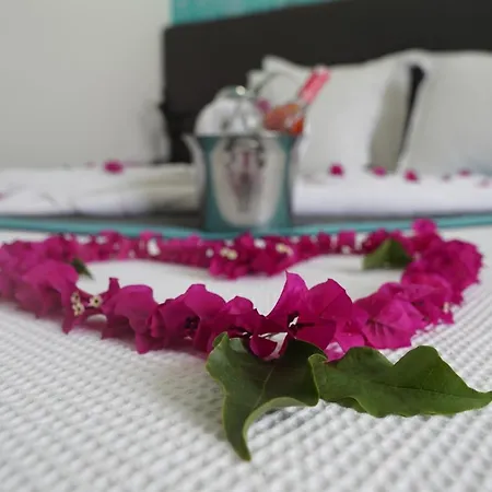 Hotel Casa Aria